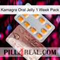 Kamagra Oral Jelly 1 Week Pack new13